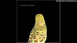 Andrew Bird - Spare-Ohs