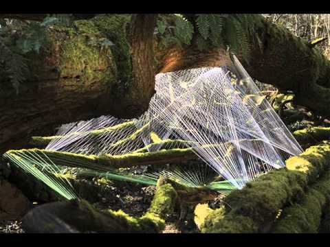 Shouton vs Amaterasu-alien microchip