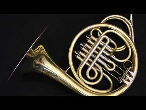 Vienna Horns - Fanfare For The Common Man
