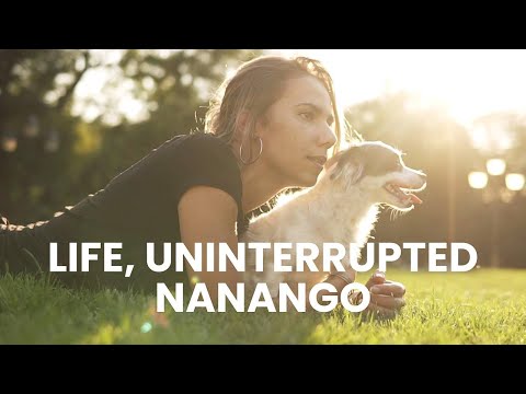 241 Izzards Road (Nanango Acres), Nanango, QLD 4615, 0房, 0浴, Section