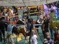 2012 Dec Circus