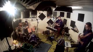 Die Toten Hosen -  Wannsee