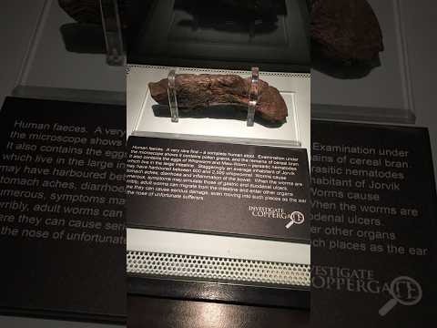 What this 1,000-year-old feces reveals about the Vikings!⚓️
