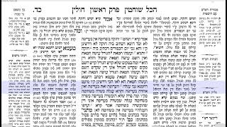 דף היומי חולין דף כד