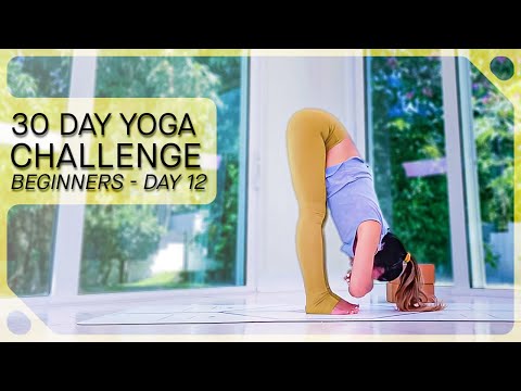 Day 12 — 30 Days of Yoga for Complete Beginners