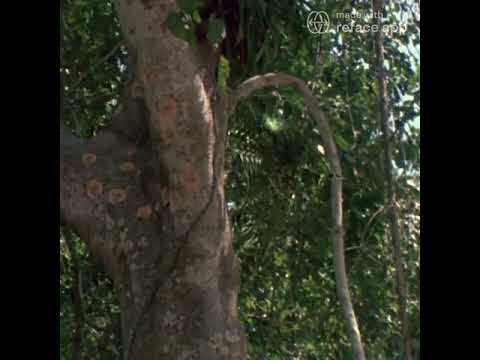 MATTEO MONTESI in :  "ndiauletor"