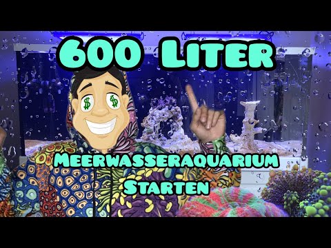Start Meerwasseraquarium - Die ersten Schritte zum XXL 600 Liter Redsea Aquarium - Tutorial