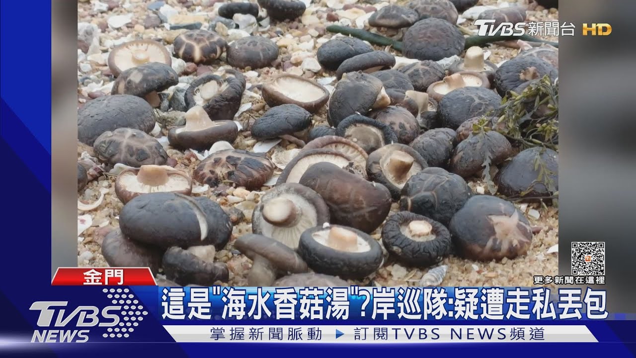 這是「海水香菇湯」? 岸巡隊:疑遭走私丟包