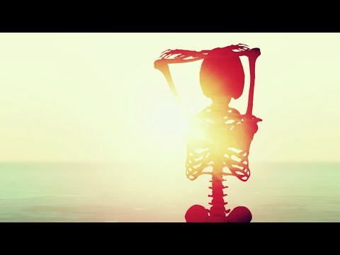 ALOHA ORCHESTRA - The Fight