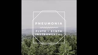 Björk - Pneumonia (Flute + Synth instrumental cover / Utopian Style)