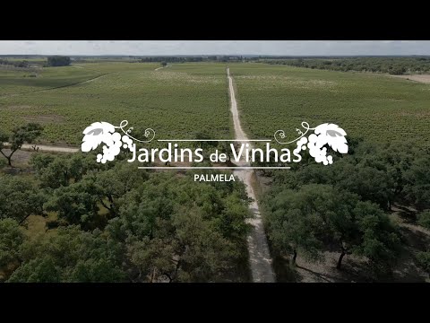 Vídeo Promocional Percursos Jardins de Vinhas