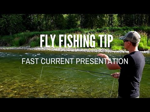 Fly Fishing Tip - Presentation in Fast Current Seams