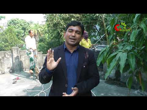 আমের মুকুল নষ্ট হবে না- আম ধরবে বেশি- আমের হপার পোকা ও শুটি মোল্ড দমনের এখনই সময়