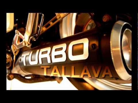 pipza ladi bujarit live