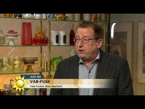 Upptäckt vab-fusk ökar markant - Nyhetsmorgon (TV4)