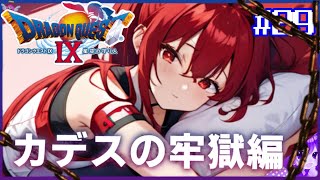 #29【ドラクエ９】カデスの牢獄編スタート！《囚われの天使》👼初見プレイ！※内容にネタバレ含みます【ドラゴンクエストⅨ星空の守り人】【ドラゴンクエスト】【ドラクエ】【DQ9】リメイク期待