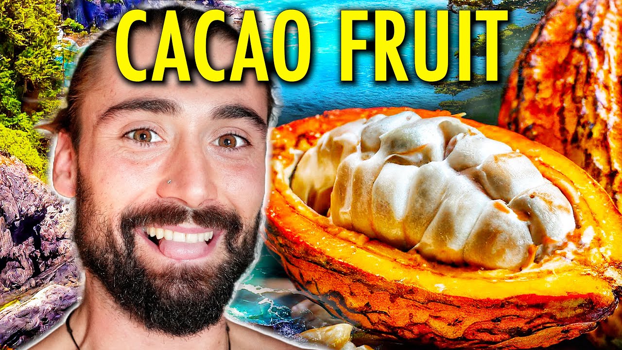 Philippines Raw Cacao Fruit Farm Harvest! (Cooking Pure Chocolate Sikwate & Fruit Feast)
