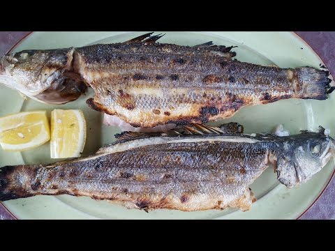 download lagu mp3 mp4 Grilled Wolffish, download lagu Grilled Wolffish gratis, unduh video klip Grilled Wolffish