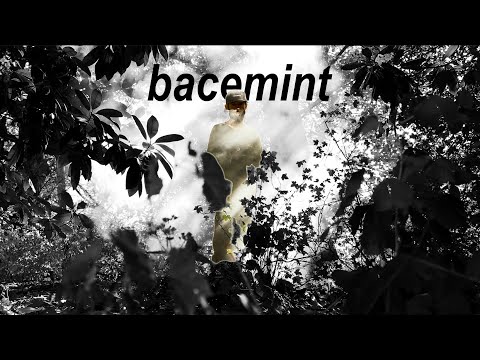 bacemint and Them Skates