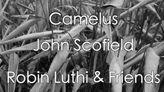 Camelus - John Scofield - Robin Luthi