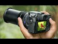 Best Zoom Cameras 2026 Top Superzoom Cameras 2026