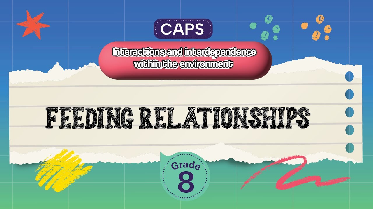 [GRADE 8] Feeding relationships