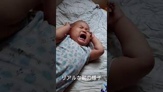 起きそうなグズグズ