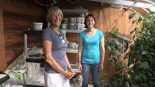 Terry Reichardt's Attached Greenhouse – In the Alaska Garden with Heidi Rader