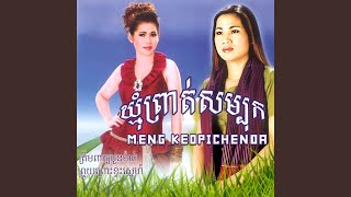 ឃ្មុំព្រាត់សម្បុក