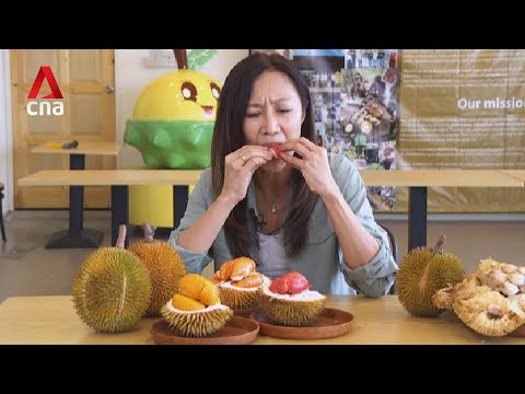 Less sugar, same punch? Sabah’s red durians take centre stage in tourism push