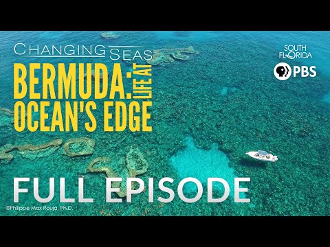Bermuda: Life at Ocean's Edge | Changing Seas