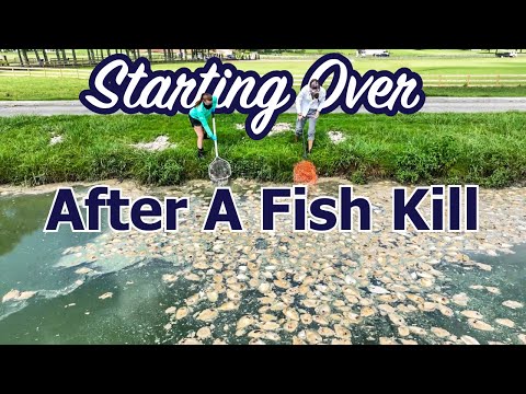 Starting Over After A Fish Kill