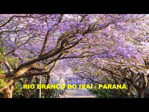 RIO BRANCO DO IVAÍ / PARANÁ