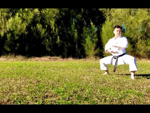 SEIPAI KATA GOJU RYU KARATE by Davy Wijaya Sensei
