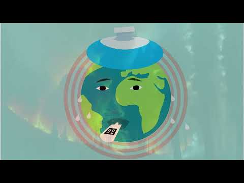 Unveiling Our Mission: Inside 'Why Sustainability Matters' Channel