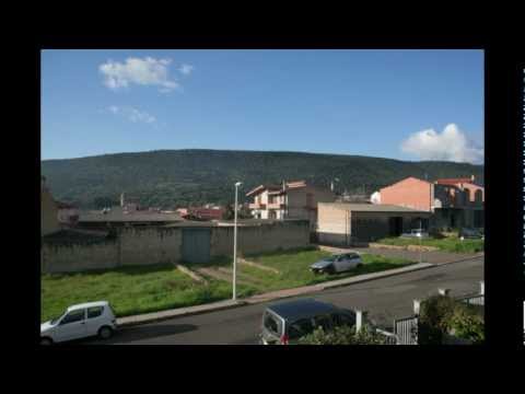 2013 01 03   Narbolia in slow motion