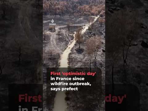 'First somewhat optimistic day' in France since wildfire outbreak says prefect | AJ #shorts