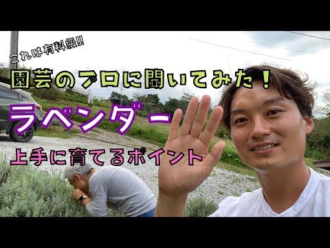 自分だけのラベンダーシロップを作ろう 植物
