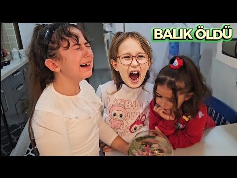 ESMA’S FISH DIED, SHE CRIED A LOT, BAHAR BANU ALYA WAS VERY SAD.