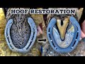 SHIRE HORSE HOOF RESTORATION HUGE FEET