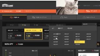 【FX】1万円から始める為替取引【BO】59
