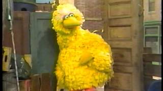 Opening to Sesame Street: Put Down the Duckie 1994 VHS [True HQ]
