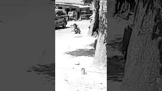 Download lagu Wanita 'cantik ' lakukan aksi Bugil di Jalan Samanhudi , Kota  Binjai mp3