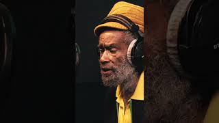 Max Romeo - Dubplate - Little Lion Sound