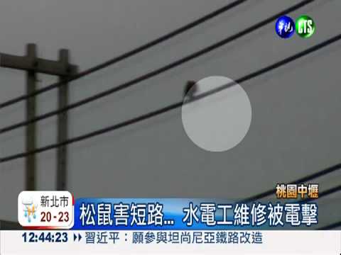 松鼠害短路... 水電工維修被電擊
