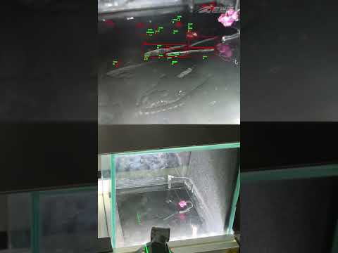 研究: 衛星は放射線を放出する – 研究者は「懸念の理由」を認識している