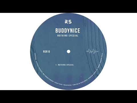 Buddynice - Nothing Special