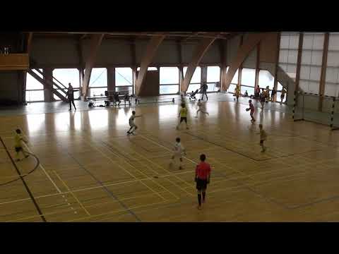 Riviera Futsal Cup U12 BSC Old Boys Basel FE12 - Olympique Lyonnais U12 (France) 11.02.2018
