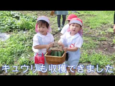  Storm Ciaran: 滑りやすい木製デッキに対処するための 6 つの専門家による滑り止めのヒント  庭園