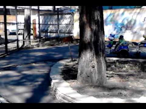 Детские атракционы. (рикши)